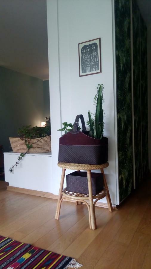 Garden Studio 55 S.M. Athens Exterior photo